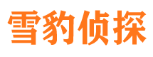 扶沟市私家侦探